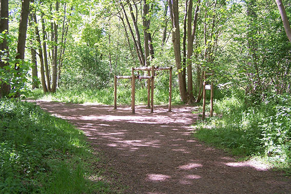 Photo Bois de Vaires sur Marne